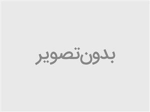 فاطمه باغستانی